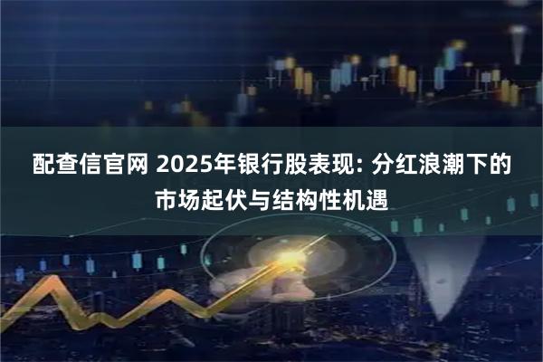 配查信官网 2025年银行股表现: 分红浪潮下的市场起伏与结构性机遇