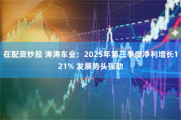 在配资炒股 涛涛车业：2025年第三季度净利增长121% 发展势头强劲